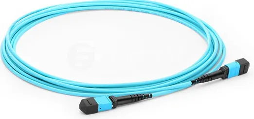 图片2.webp 图片2.webp